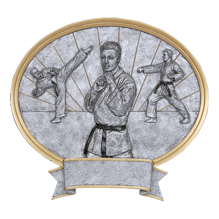Oval karate award with male athletes in silver relief, gold trim and a banner engraving plate
