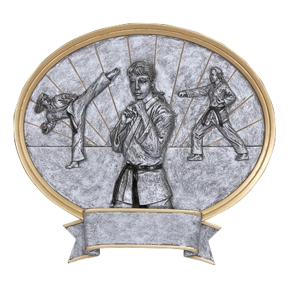 Oval karate award with female athletes in silver relief, gold trim and a banner engraving plate