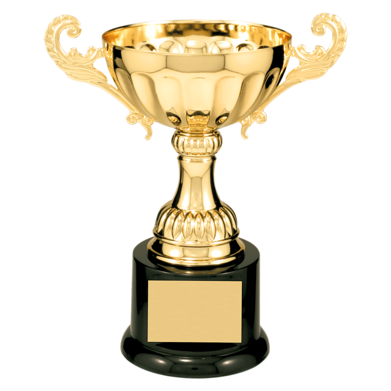 trophy cup example