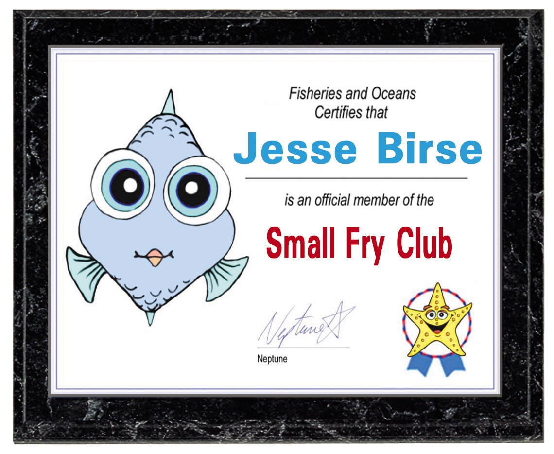 Slide-in certificate plaque – Black Marble