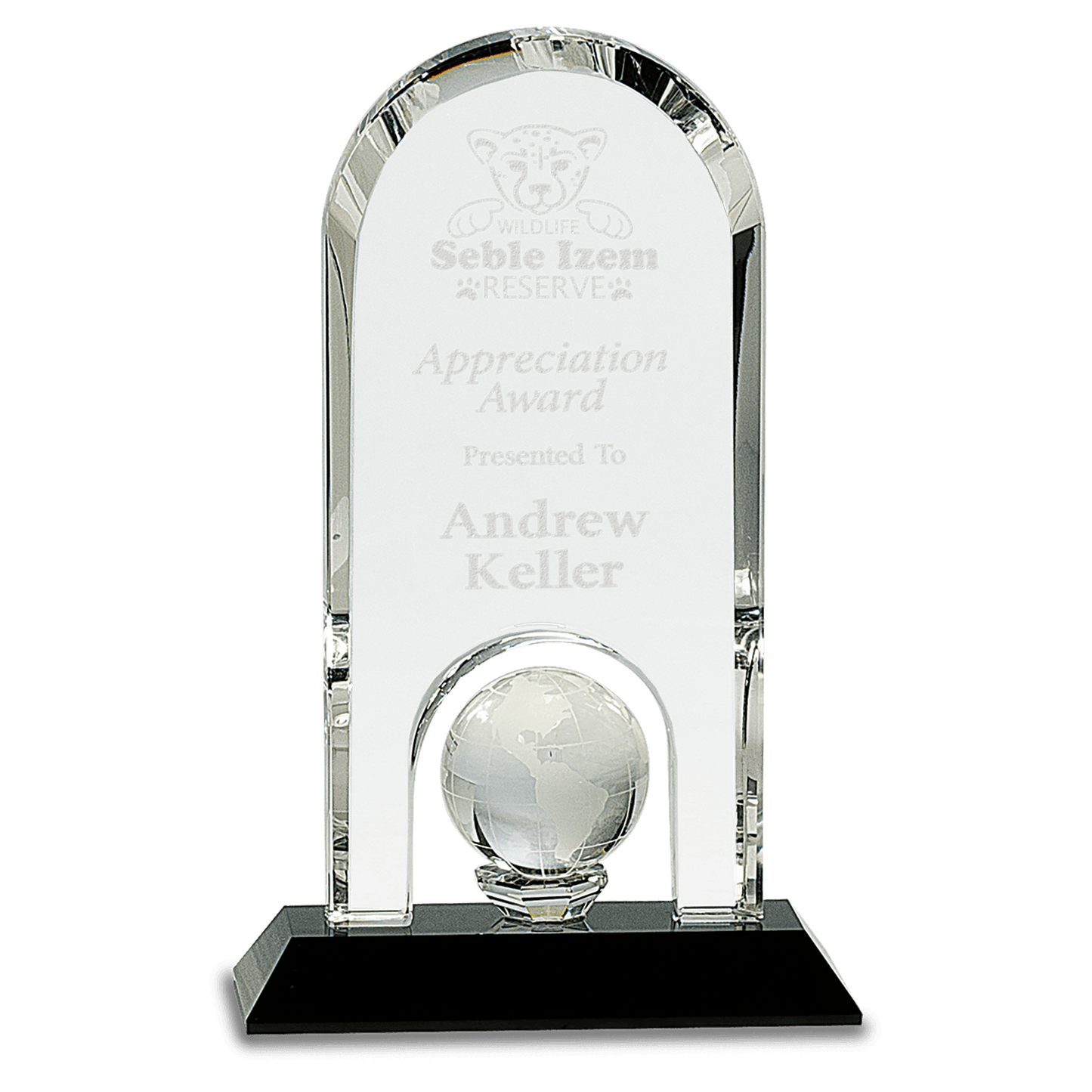 8.75 inch clear crystal dome award with inset globe on black pedestal base