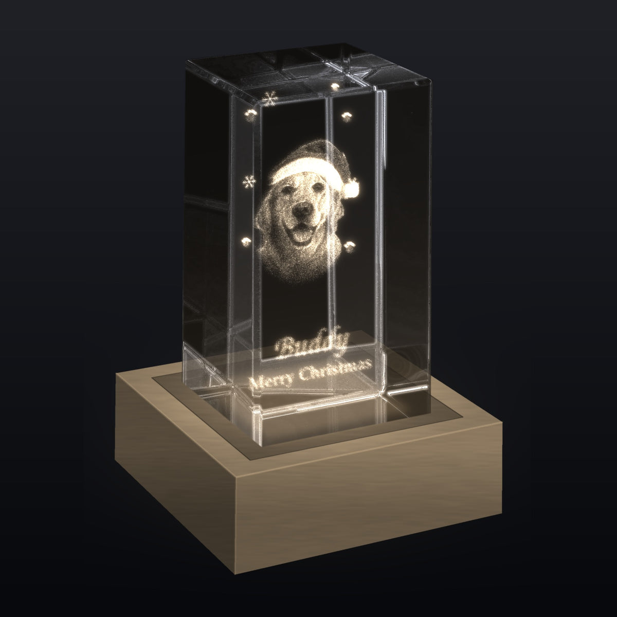 Pet Christmas 3D photo crystal glowing on LED light base