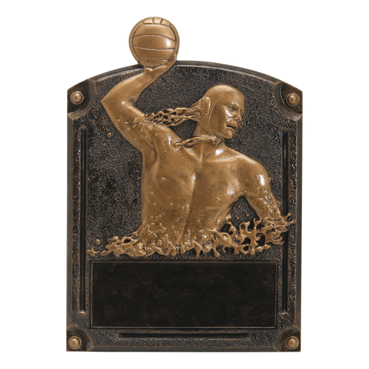Legends of Fame water polo plaque with a male player in bronze high relief and an engraving area