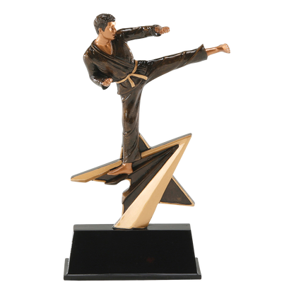 Star Power karate trophy with an athlete in a black gi kicking off a gold shooting star over a black base