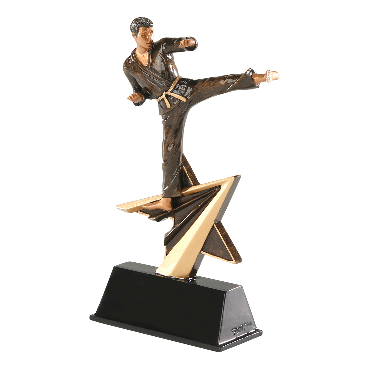 Star Power karate trophy shown from an angle