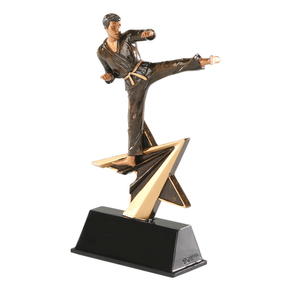 Star Power karate trophy shown from an angle
