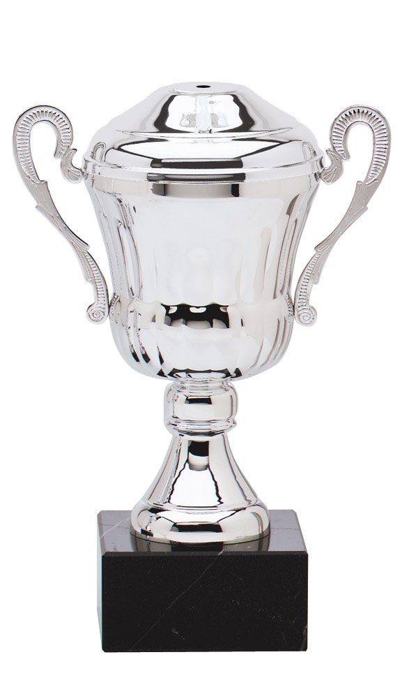 Full Metal Cup Trophy with Lid – Silver