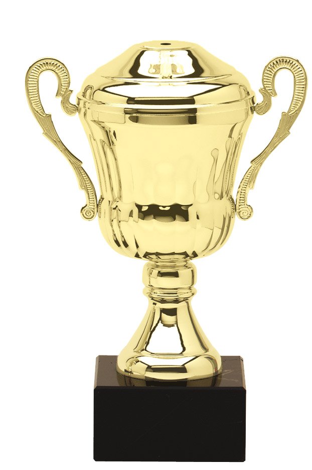 Full Metal Cup Trophy with Lid – Gold