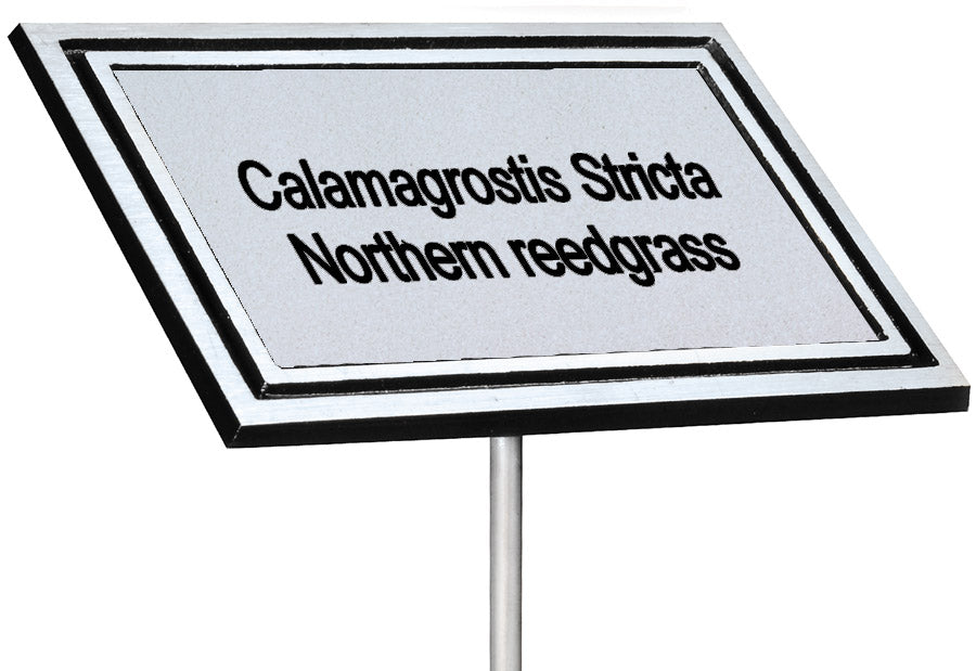 Black and silver cast aluminum garden plaque on a stake with an engraved silver plant marker plate