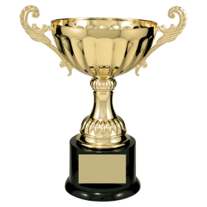 Gold two-handled metal trophy cup on a black base