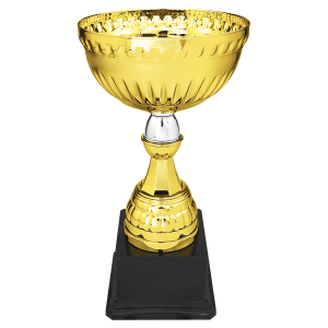 Petite silver and gold two-tone metal trophy cup on a black base