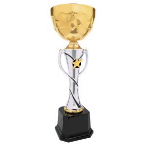 Silver and gold two-tone star-accent metal trophy cup on a black base