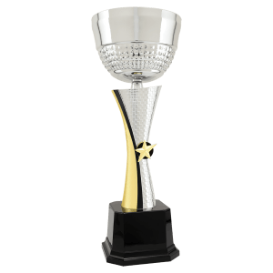 Silver and gold two-tone star metal trophy cup on a black base
