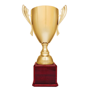 Gold grand championship cup with wing handles on a base
