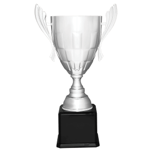 Silver grand victory cup on a base