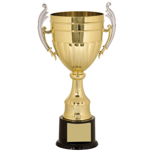 Gold plastic trophy cup with handles on a black base