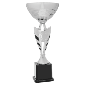 Silver column cup with a 2 inch insert holder on a black base