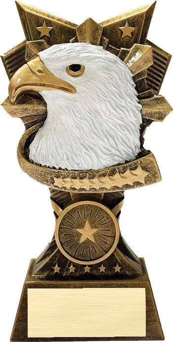 Multi-relief resin award with full-color eagle center