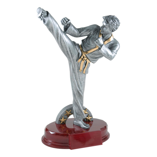Silver male karate trophy with an athlete in a high side kick on a rosewood-finish base, 11 3/4 inch