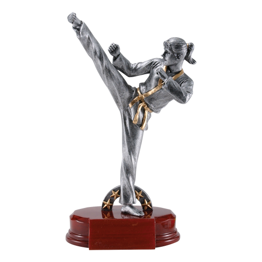 Silver female karate trophy with an athlete in a high side kick on a rosewood-finish base, 8 3/4 inch