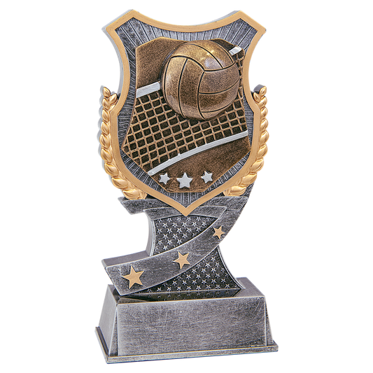 6" Volleyball Shield award in silver and gold