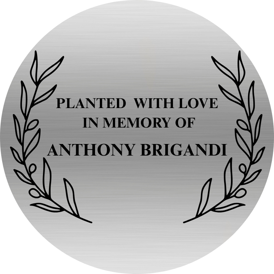 A circular memorial plaque with a brushed silver metallic finish, featuring black engraved text that reads 'PLANTED WITH LOVE IN MEMORY OF ANTHONY BRIGANDI' framed by black laurel branches.