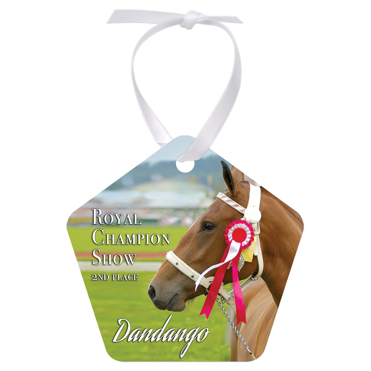 Pentagon white metal photo ornament with white ribbon