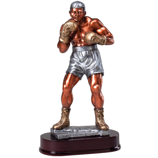Boxer Resin Trophy - 12¼" with engraving plate