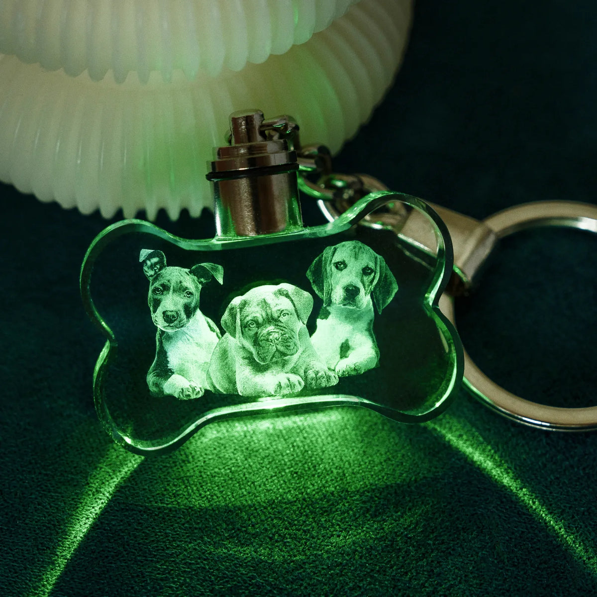 Personalized bone crystal keychain engraved with a dog photo, lit in multicolor LED