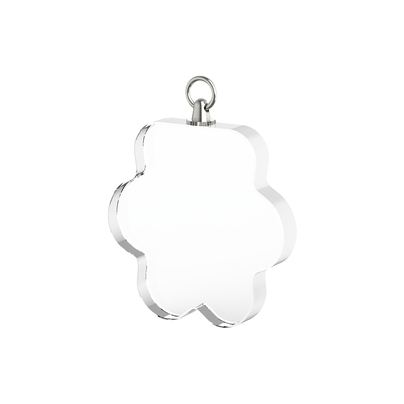 Engraved paw-shaped crystal pendant necklace
